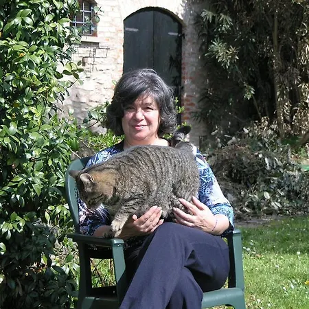 Bed and Breakfast Chez Vivi