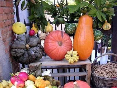 Couette-café Chez Vivi *