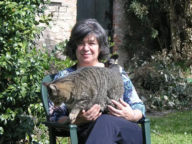 Couette-café Chez Vivi